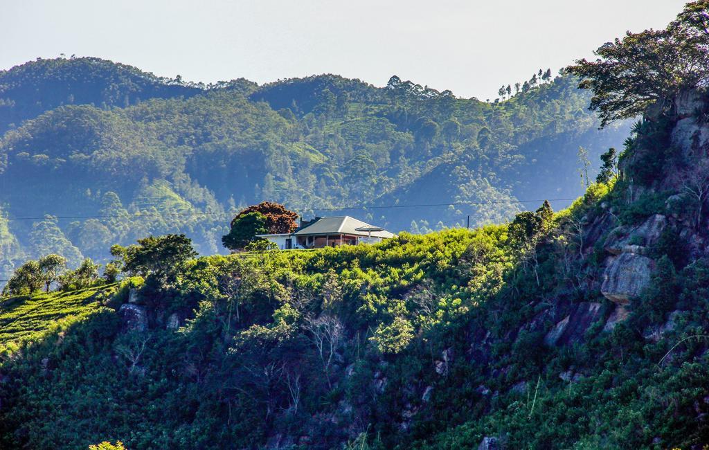 Cool Mount Resort إيلا المظهر الخارجي الصورة